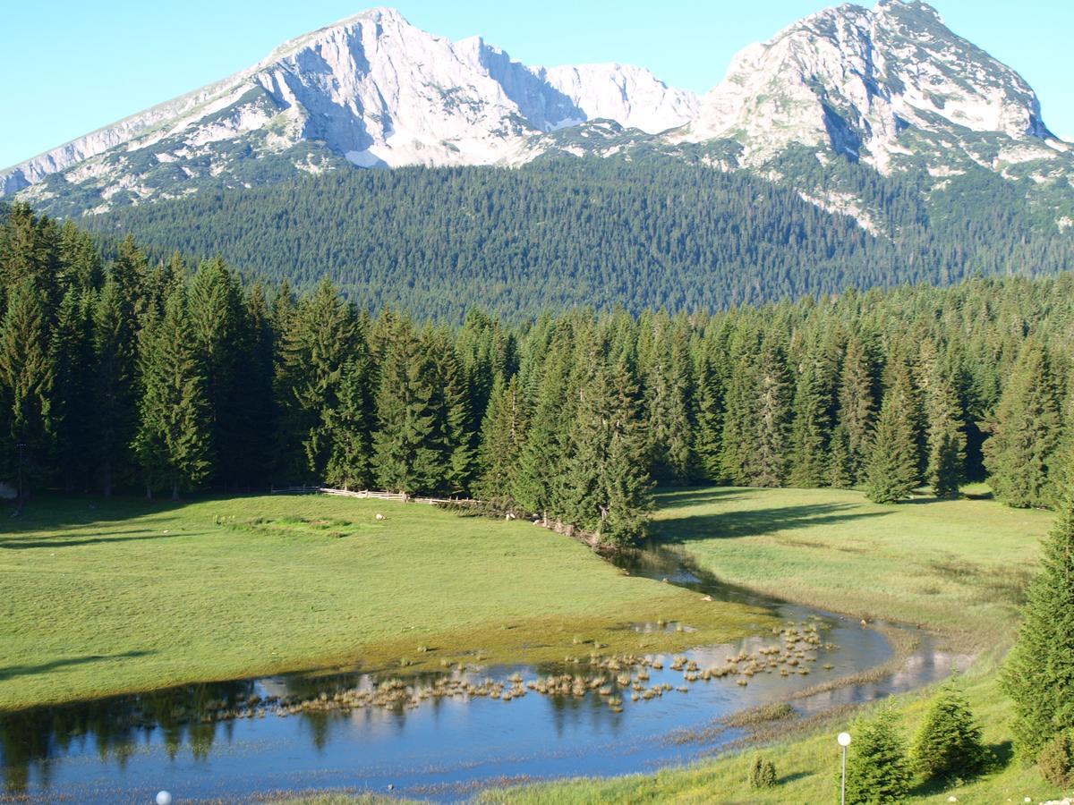 Guesthouse Ukus Durmitora Žabljak 外观 照片