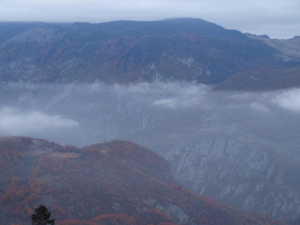 Guesthouse Ukus Durmitora Žabljak 外观 照片